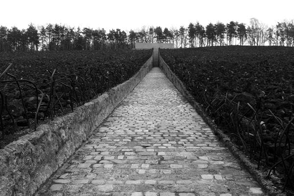 Weg durch das Gräberfeld der Gedenkstätte Bełżec