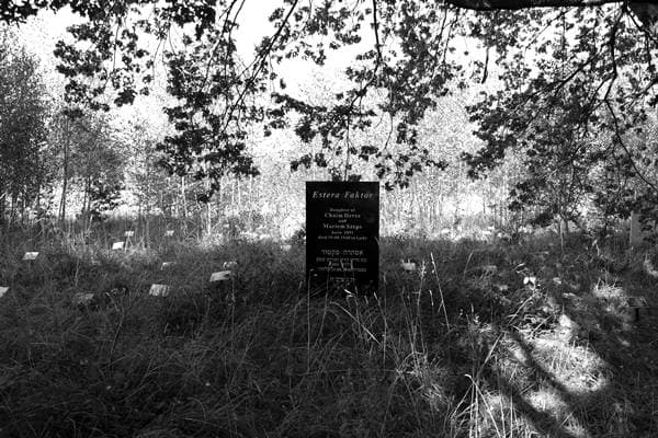 Ghettofeld jüdischer Friedhof Łódź Ghettofeld