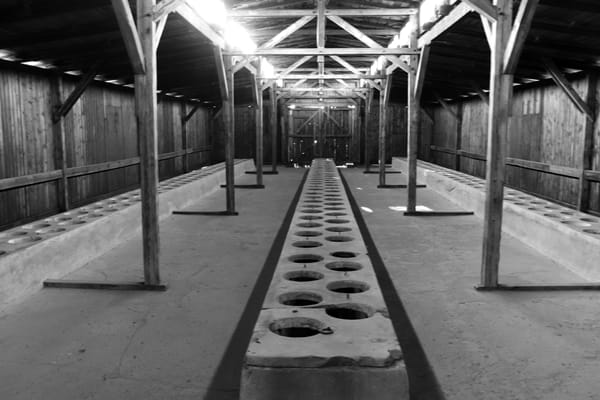 Latrinenbaracke in Birkenau Bauabschnitt BIIa