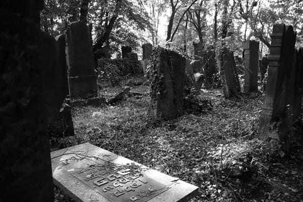 Macewot (Grabsteine) jüdischer Friedhof Łódź Grabsteine