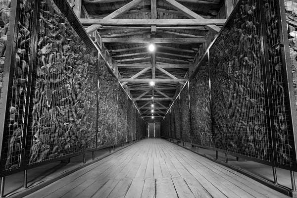Baracke mit Schuhen der Ermordeten in Majdanek
