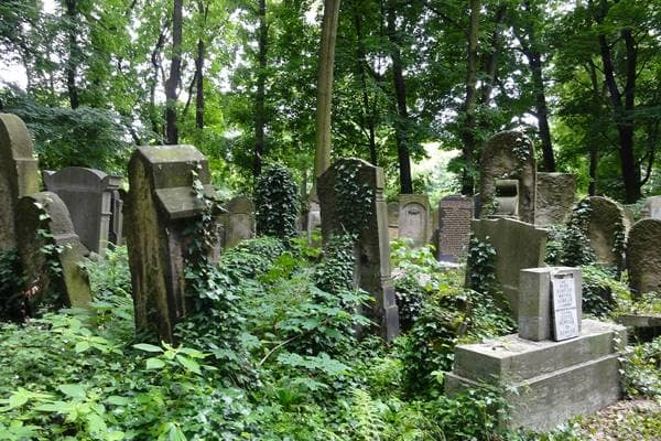 Neuer jüdischer Friedhof (Cmentarz Nowy) in Krakau-Kazimierz, gegründet 1800
