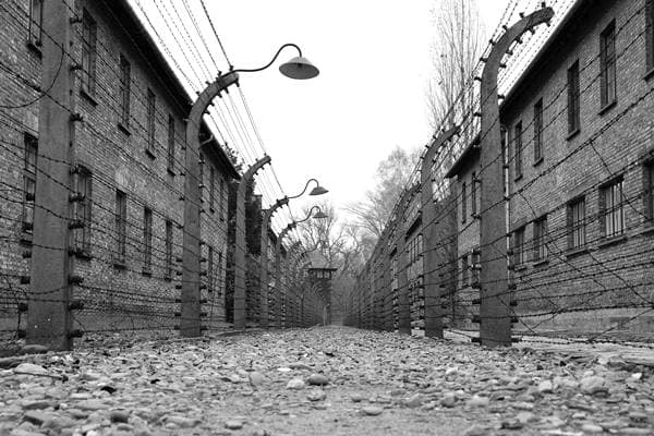 Stacheldrahtumzäunung mit elektrischer Spannung und Häftlingsblocks im Stammlager Auschwitz I.
