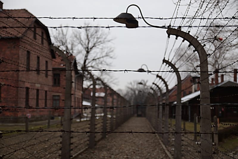 78. Jahrestag der Befreiung von Auschwitz_07
