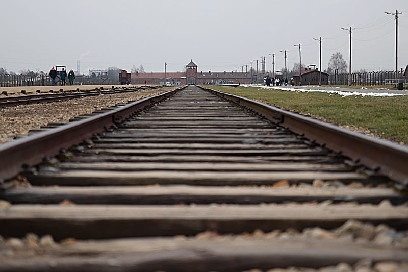 78. Jahrestag der Befreiung von Auschwitz_10